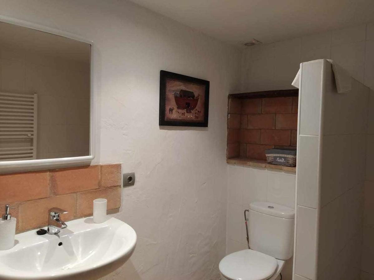 Mas Planella Casa Rural Mieres  Extérieur photo