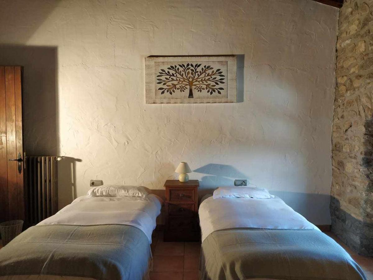 Mas Planella Casa Rural Mieres  Extérieur photo