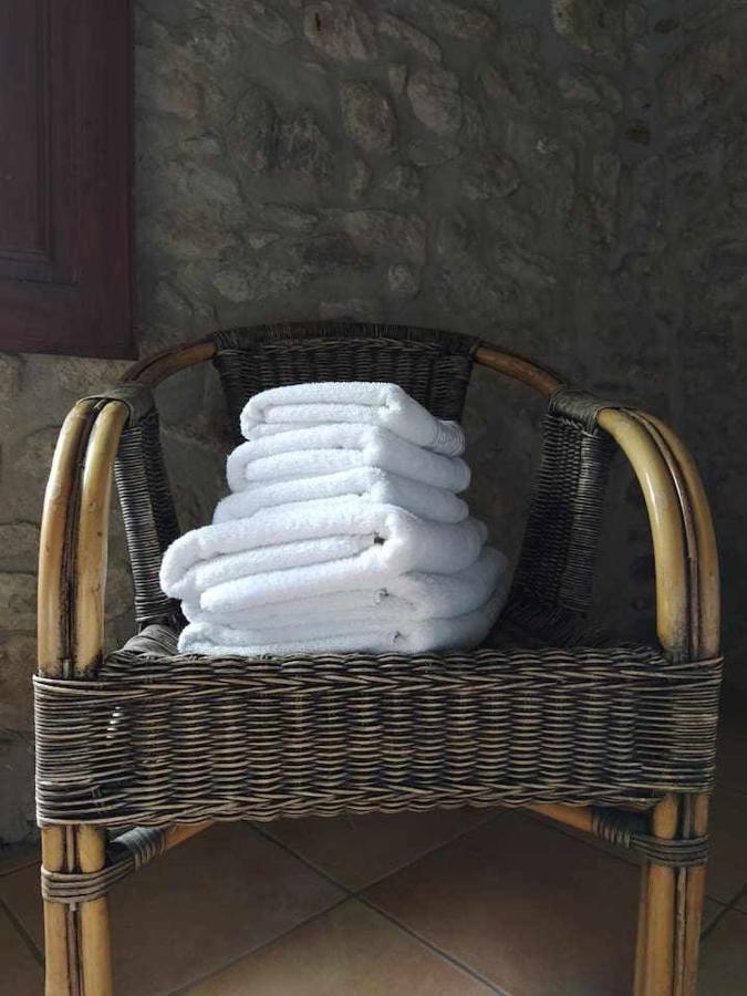 Mas Planella Casa Rural Mieres  Extérieur photo
